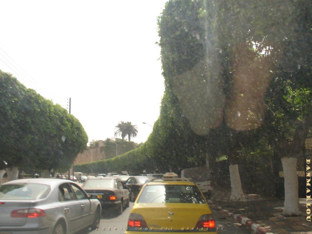 oran 132.jpg